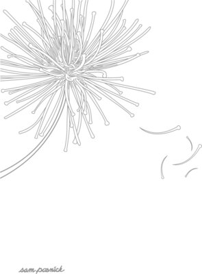 Dandelion