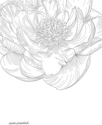 Peony