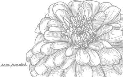Zinnia